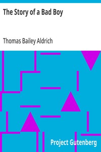 Cover of The Story of a Bad Boy — Reading...